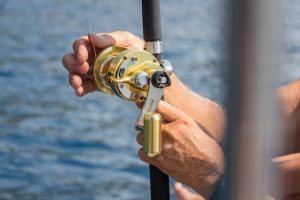 Read more about the article Deep Lake Fishing: Navigating the World of Fishing Rods